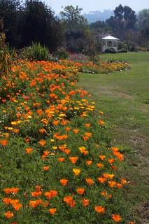 Gazebo on the Lawn