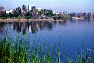 Harbor Lake
