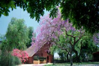 One of seven horse barns.