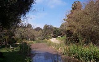 The Pond at the South Coast Botanic