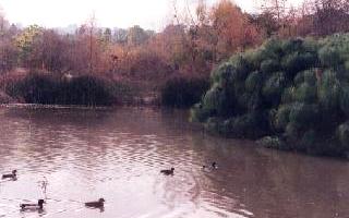 Soco Lake