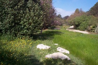 stones in the middle