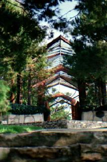 The Tree Chapel